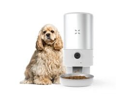XENON SMART X8605 AKILLI 5 LT OTO. MAMA KABI
